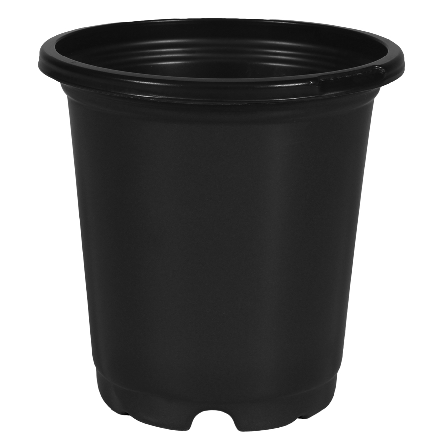 4.0 Standard Coex Pot White/Black Herb - 1260 per case - Standard